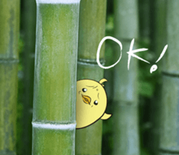 The Thinker bird 3 message of photo sticker #13535795