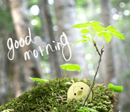 The Thinker bird 3 message of photo sticker #13535796