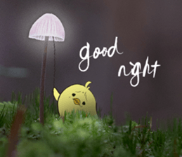 The Thinker bird 3 message of photo sticker #13535797