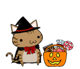 Cat ASHver kitten's Halloween party sticker #13536729