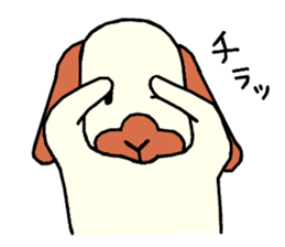 Chappy(cute rabbit) sticker #13537066
