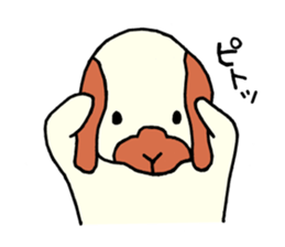 Chappy(cute rabbit) sticker #13537067