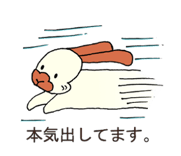 Chappy(cute rabbit) sticker #13537080