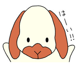 Chappy(cute rabbit) sticker #13537095