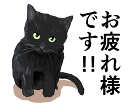 one black cat sticker sticker #13537303