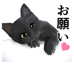 one black cat sticker sticker #13537304