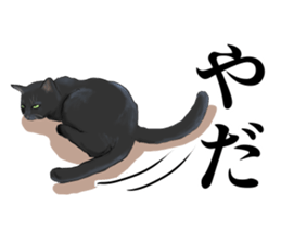 one black cat sticker sticker #13537306