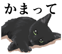 one black cat sticker sticker #13537308
