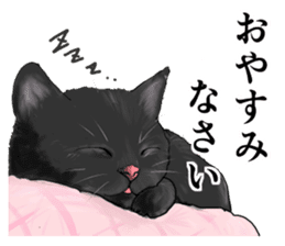 one black cat sticker sticker #13537309