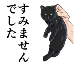 one black cat sticker sticker #13537311