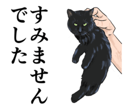 one black cat sticker sticker #13537311