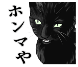 one black cat sticker sticker #13537313