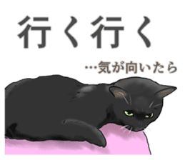 one black cat sticker sticker #13537316