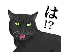 one black cat sticker sticker #13537317