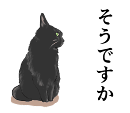 one black cat sticker sticker #13537318