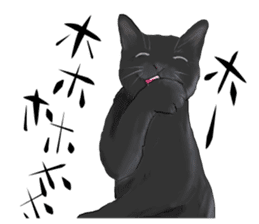one black cat sticker sticker #13537320