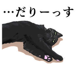 one black cat sticker sticker #13537326