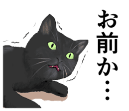 one black cat sticker sticker #13537327