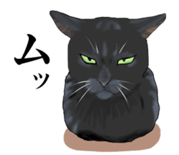 one black cat sticker sticker #13537329