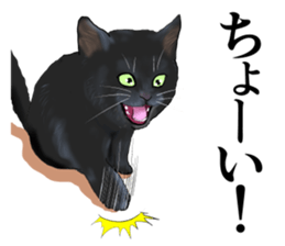 one black cat sticker sticker #13537330