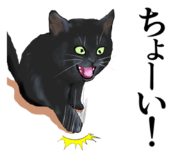 one black cat sticker sticker #13537330
