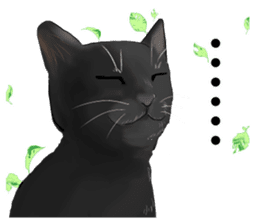 one black cat sticker sticker #13537331