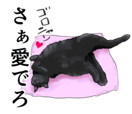 one black cat sticker sticker #13537334