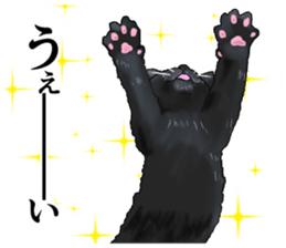 one black cat sticker sticker #13537336