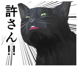 one black cat sticker sticker #13537341