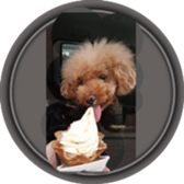 Ale Ale Alex sticker #13538086