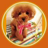 Ale Ale Alex sticker #13538087