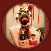 Ale Ale Alex sticker #13538089