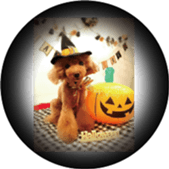 Ale Ale Alex sticker #13538092