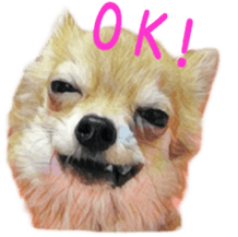 Cute watercolor Sticker of Chihuahua sticker #13538942