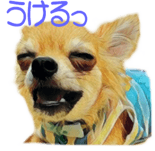Cute watercolor Sticker of Chihuahua sticker #13538944