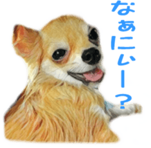 Cute watercolor Sticker of Chihuahua sticker #13538947