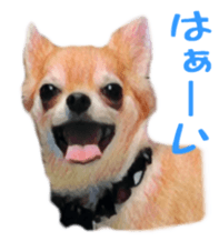 Cute watercolor Sticker of Chihuahua sticker #13538948