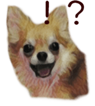 Cute watercolor Sticker of Chihuahua sticker #13538952