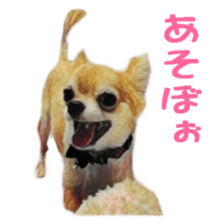 Cute watercolor Sticker of Chihuahua sticker #13538953