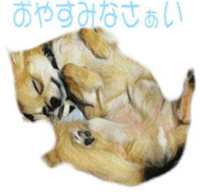 Cute watercolor Sticker of Chihuahua sticker #13538955