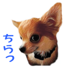 Cute watercolor Sticker of Chihuahua sticker #13538963