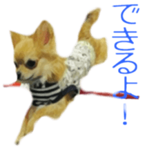 Cute watercolor Sticker of Chihuahua sticker #13538964