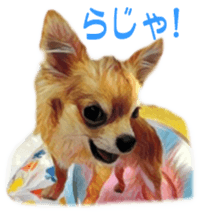 Cute watercolor Sticker of Chihuahua sticker #13538967