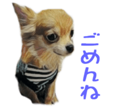 Cute watercolor Sticker of Chihuahua sticker #13538968