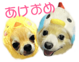 Cute watercolor Sticker of Chihuahua sticker #13538977