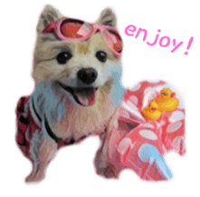 Cute watercolor Sticker of Chihuahua sticker #13538981