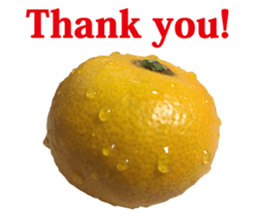 Surreal orange sticker #13539679