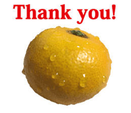 Surreal orange sticker #13539679