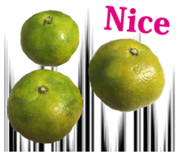 Surreal orange sticker #13539682