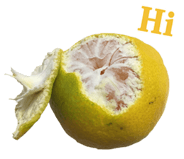 Surreal orange sticker #13539684